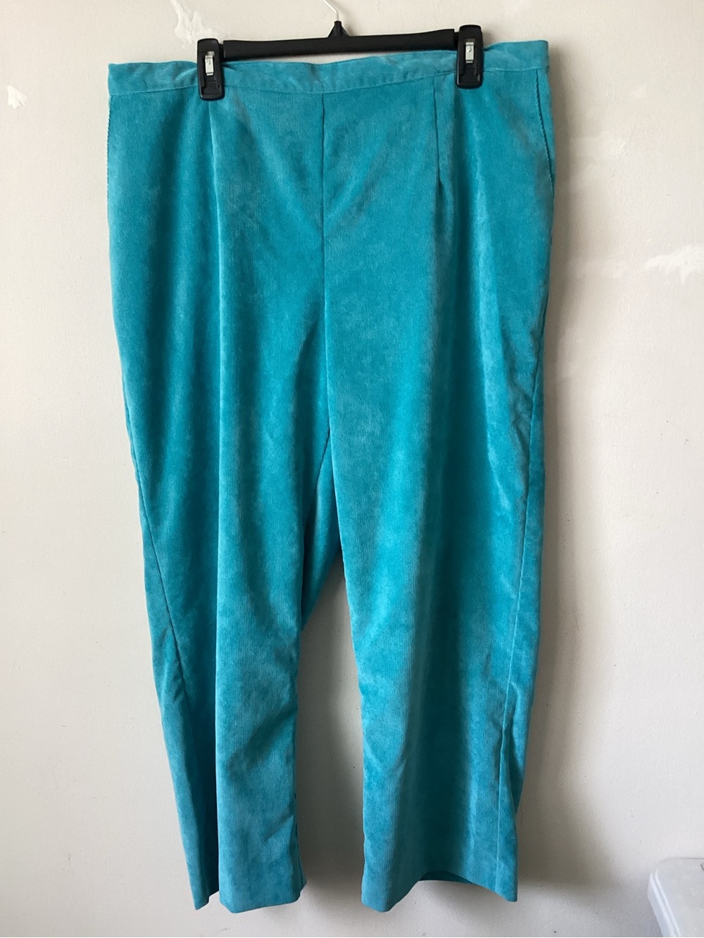 Alfred Dunner corduroy pants.